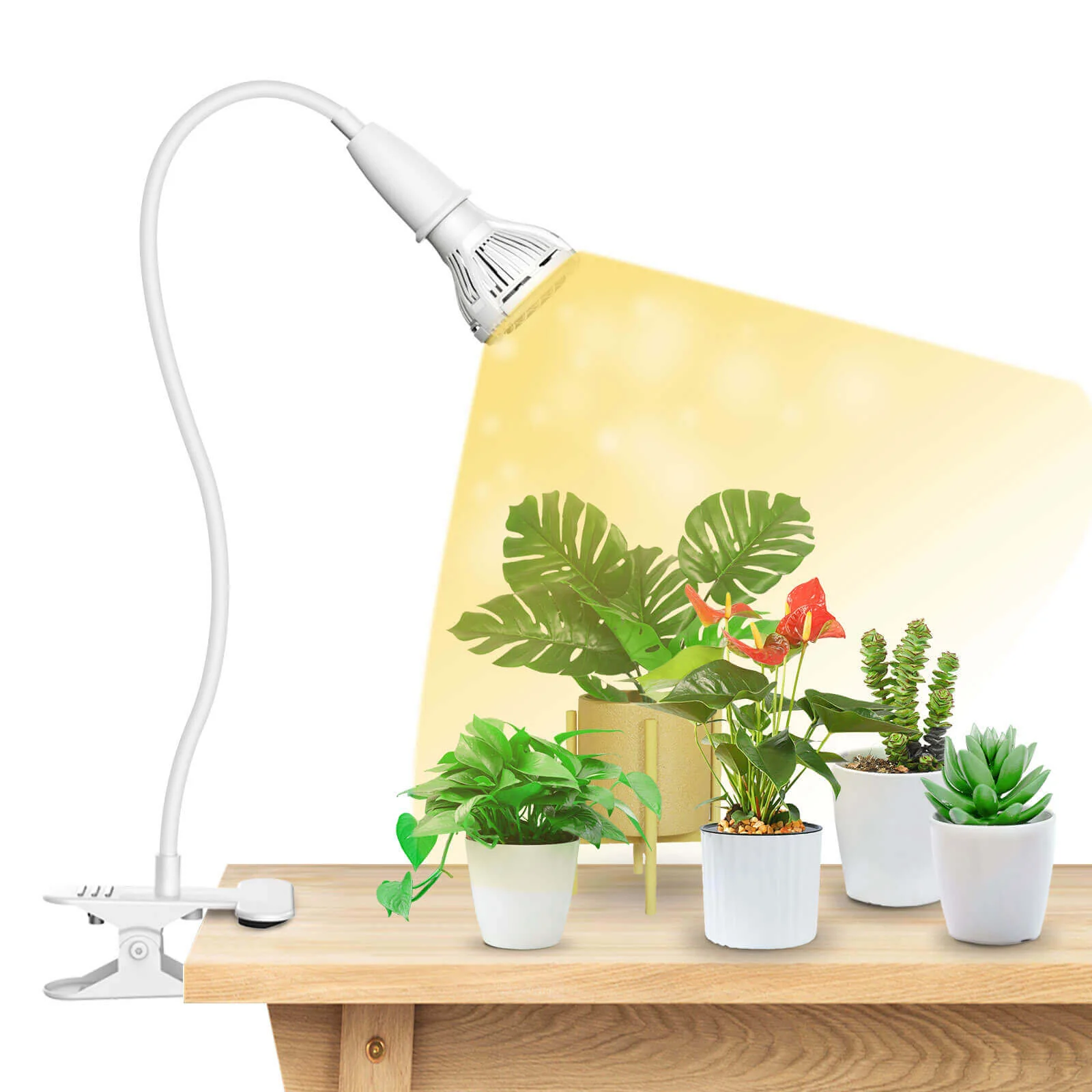 10W Adjustable 1-Head Clip-on LED Grow Light (US/CA ONLY) - Image 12