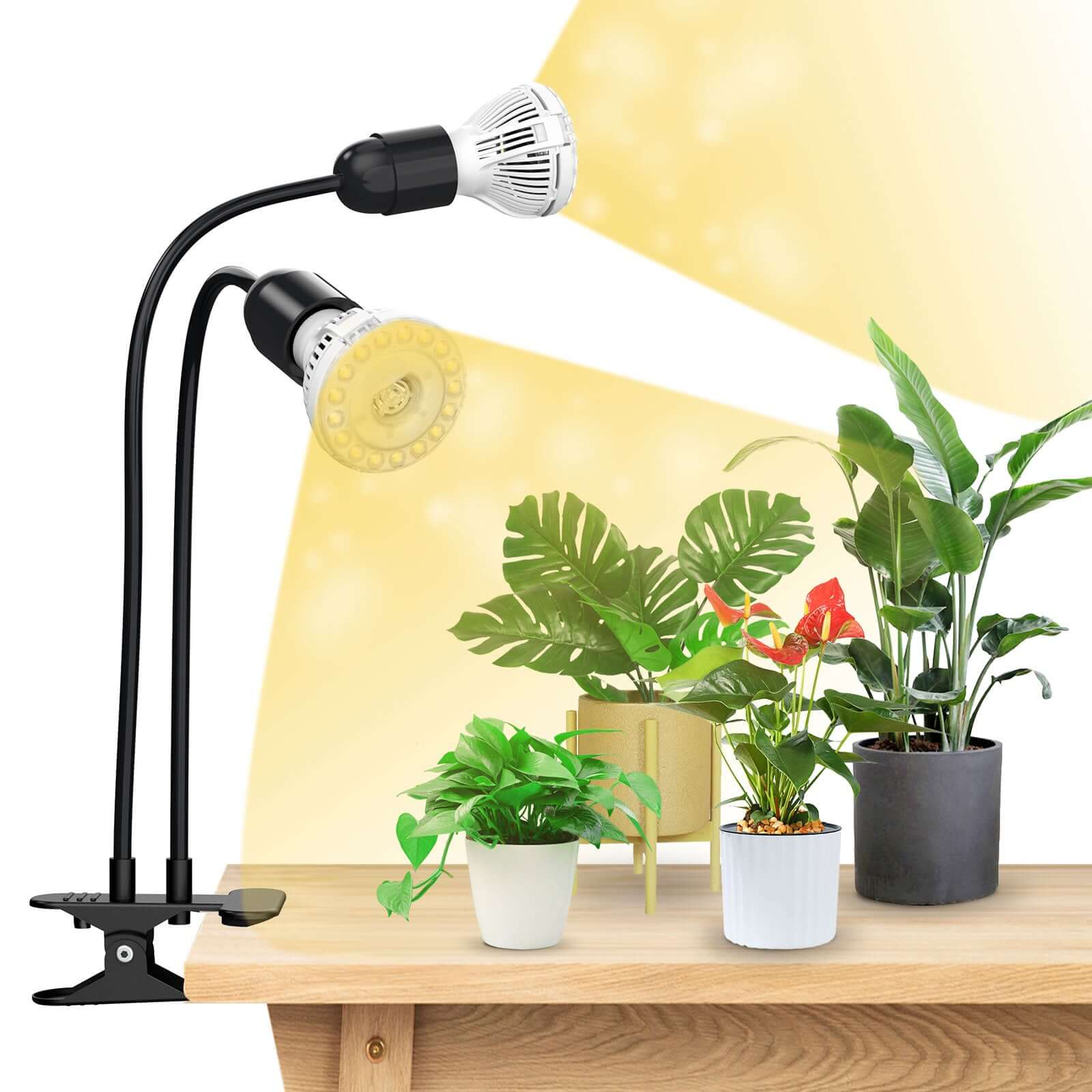 20W Adjustable 2-Head Clip-on LED Grow Light - Image 8