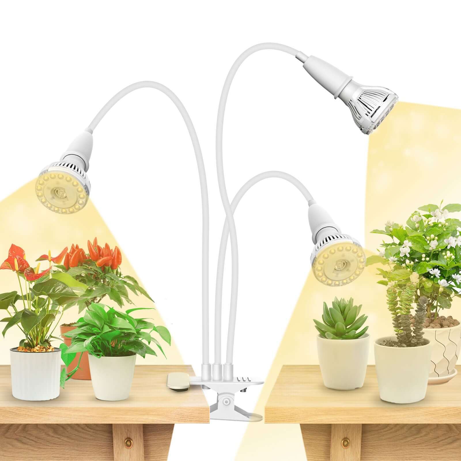 30W Adjustable 3-Head Clip-on LED Grow Light (US/CA ONLY) - Image 9