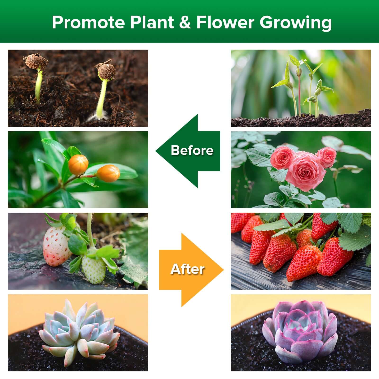 40W Adjustable 4-Head Clip-on LED Grow Light with Timer - Image 7