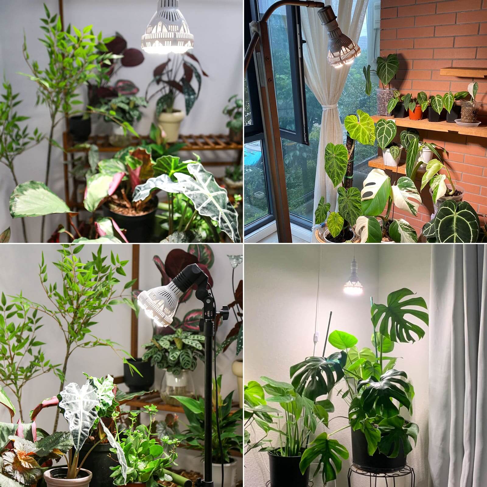 BR30 30W LED Grow Light Bulb With Remote Control (US/CA ONLY) - Image 6