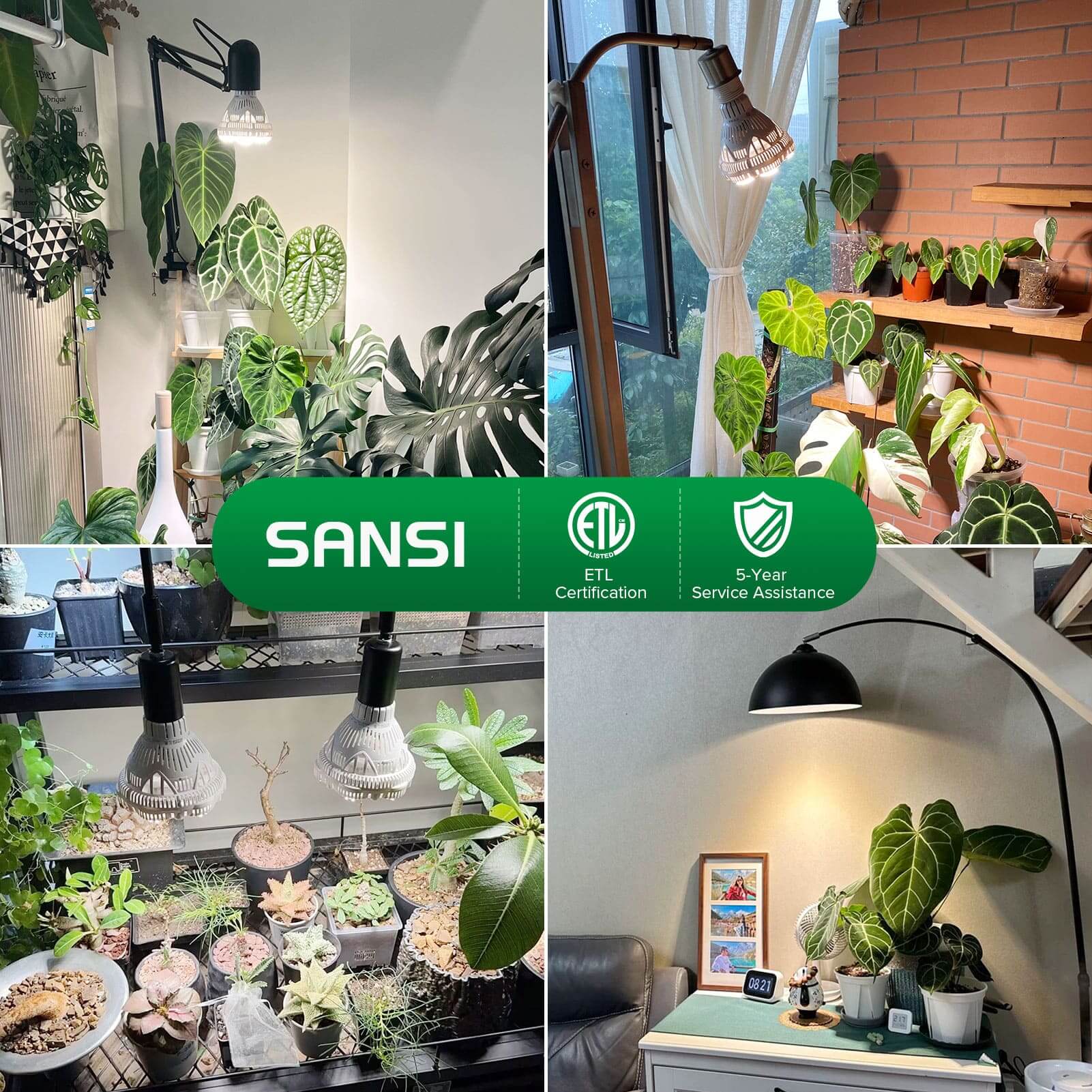 BR30 36W LED Grow Light Bulb - Image 8