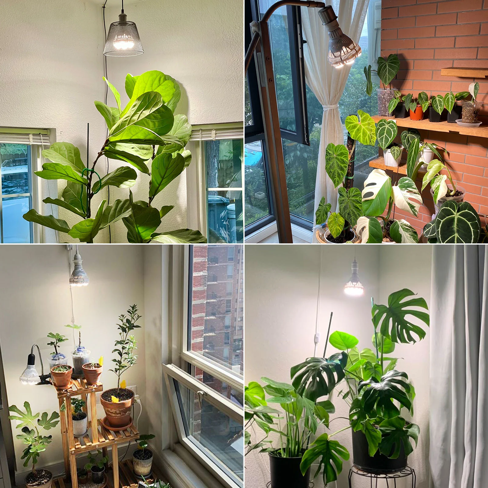 BR30 40W LED Grow Light Bulb (EU/UK ONLY) - Image 7