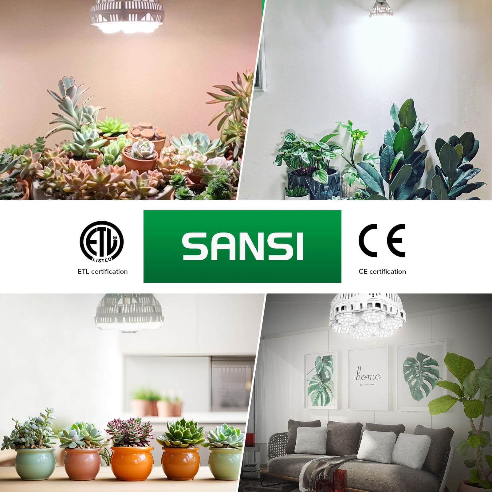 BR30 40W LED Grow Light Bulb With Remote Control - Image 10