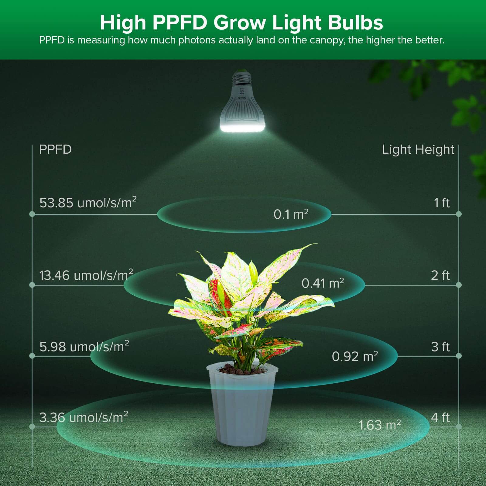 PAR20 5W LED Grow Light Bulb With Remote Control (US/CA ONLY) - Image 5