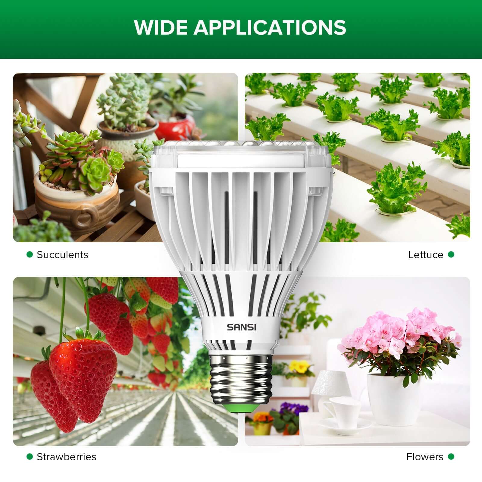 PAR25 30W LED Grow Light Bulb - Image 7