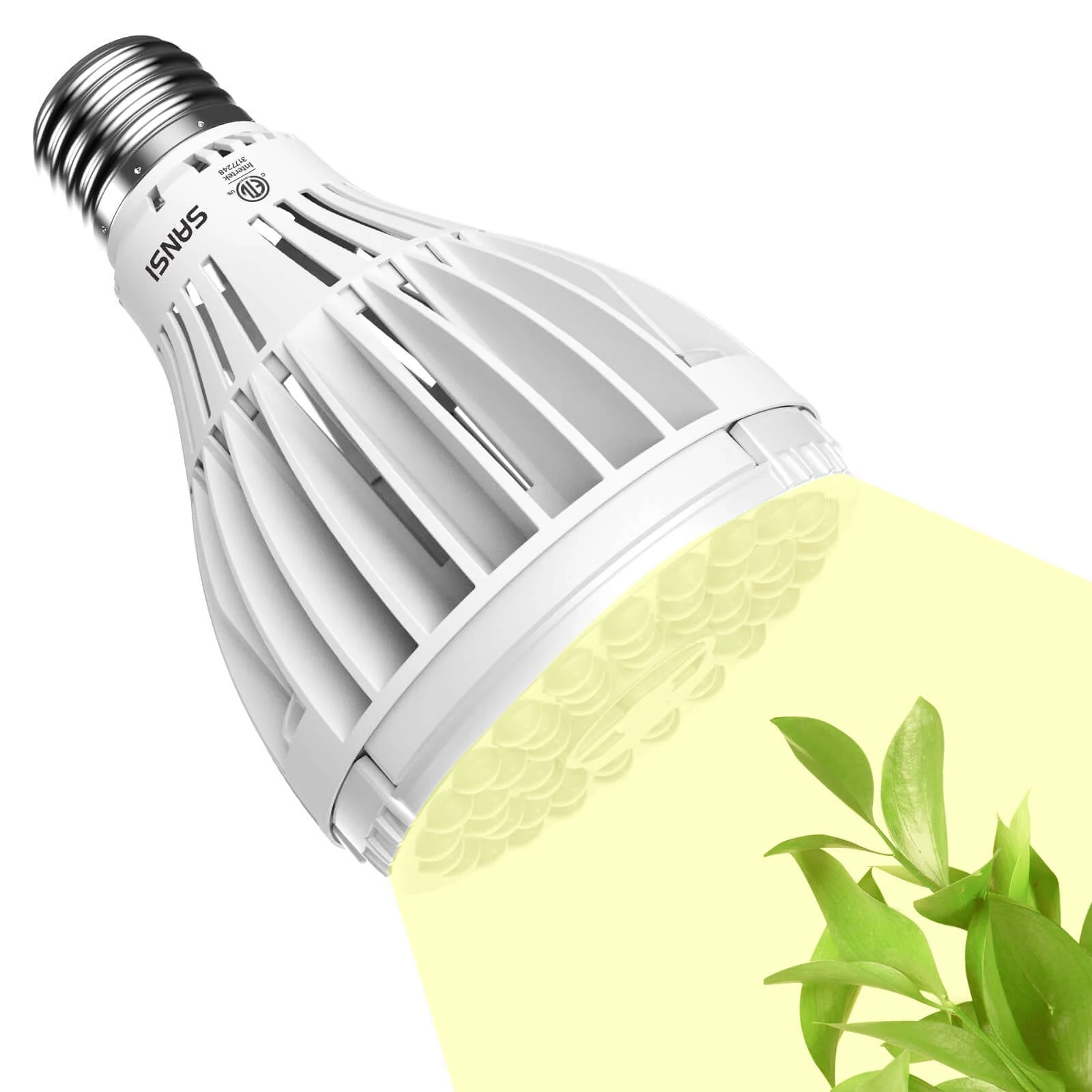 PAR25 32W LED Grow Light Bulb (US/CA ONLY) - Image 8