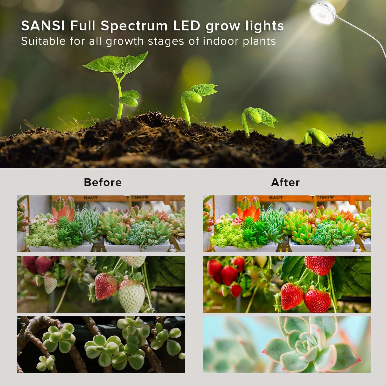 SANSI 10W LED Puck Grow Light (US/CA ONLY) - Image 9