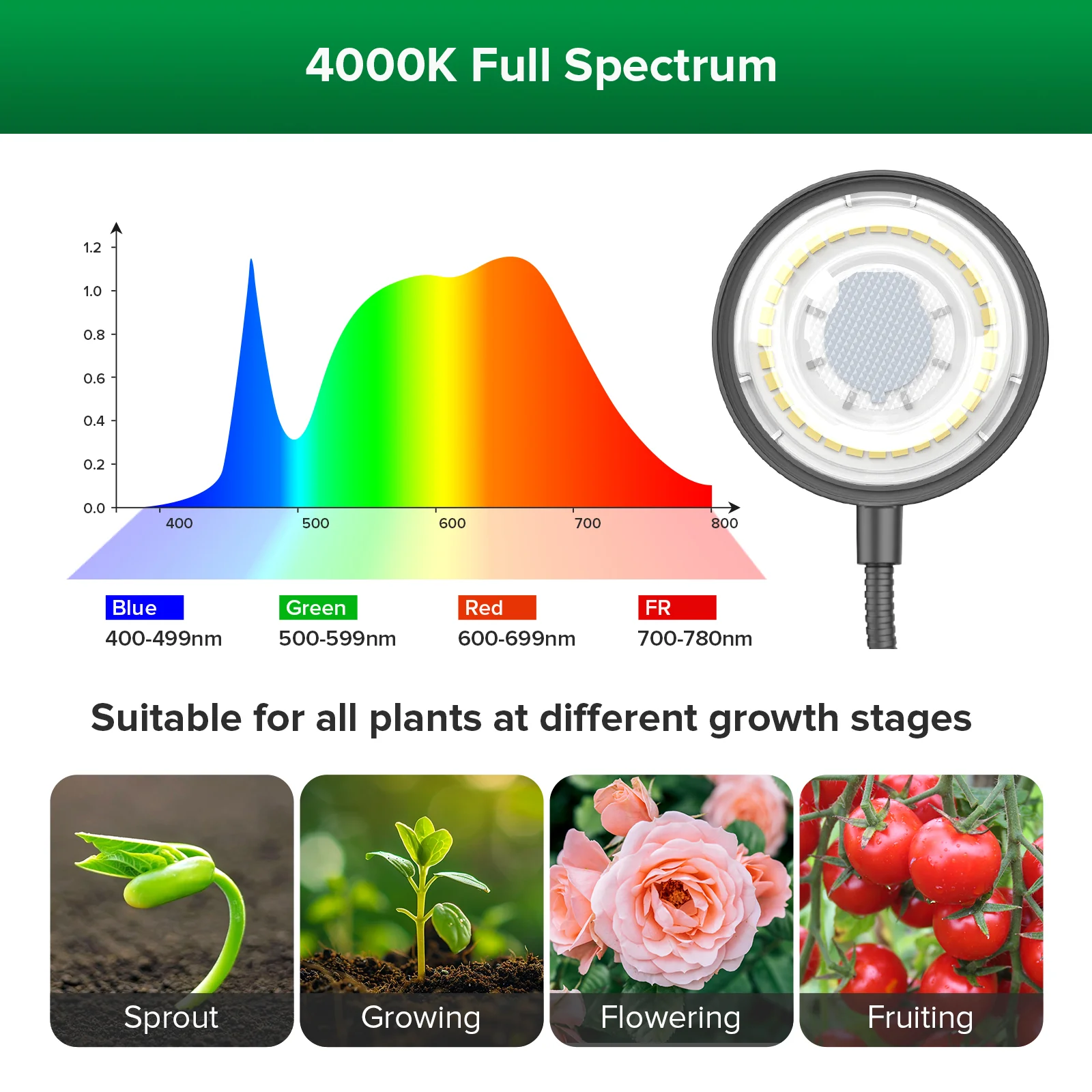 SANSI 12W Tabletop LED Grow Light (EU/UK ONLY) - Image 3