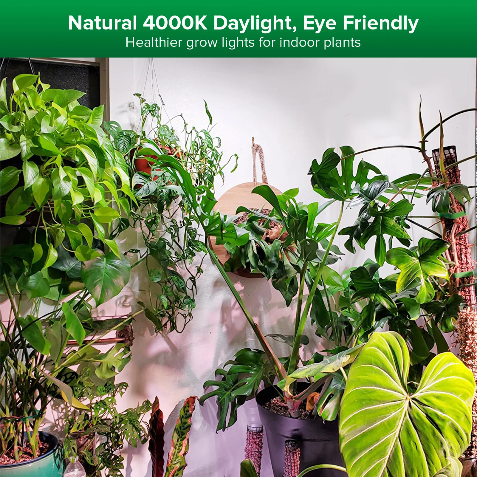 SANSI 60W Folding Wings LED Grow Light (US ONLY) - Image 8