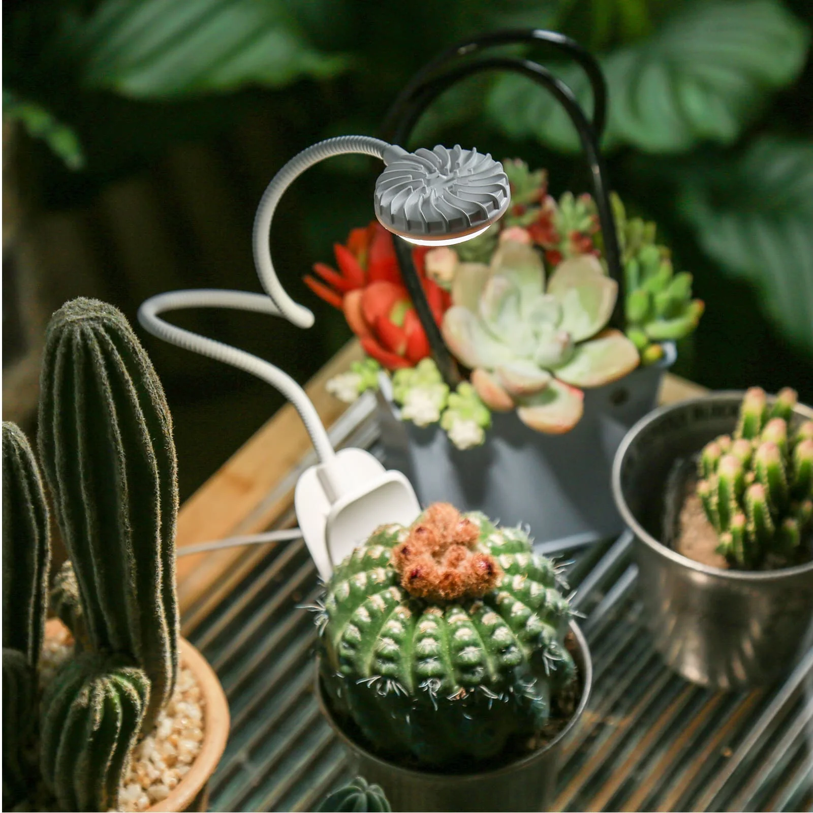 SANSI 7W Pot Clip LED Grow Light (US ONLY) - Image 7