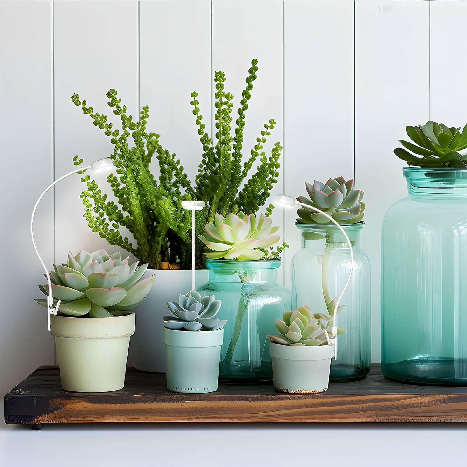 Upgraded 5W Pot Clip LED Grow Light (US ONLY) - Image 6