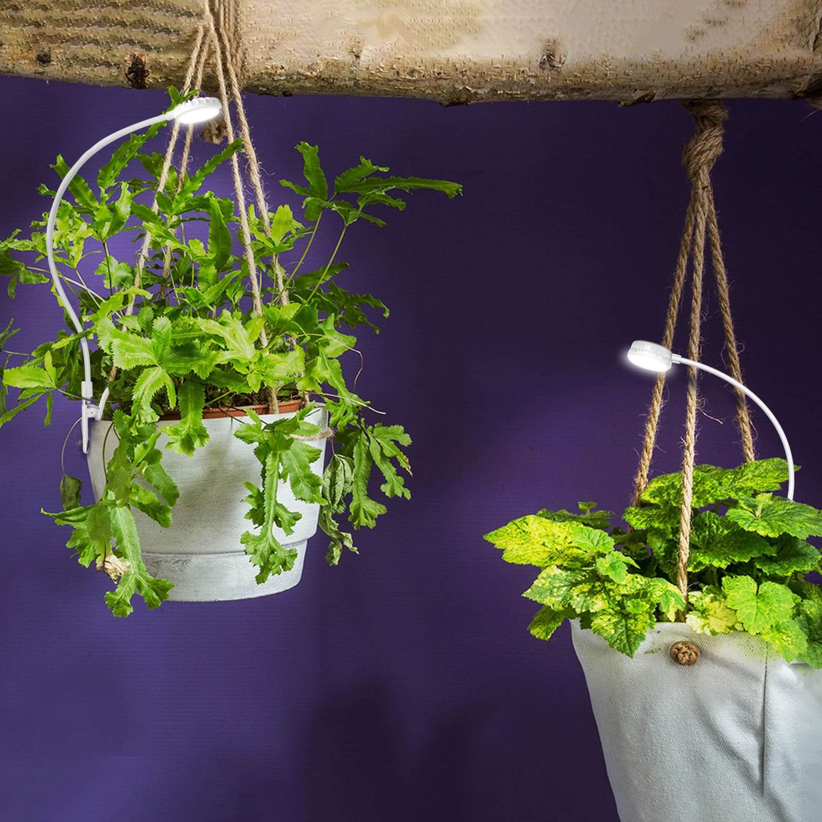 Upgraded 5W Pot Clip LED Grow Light (US ONLY) - Image 7